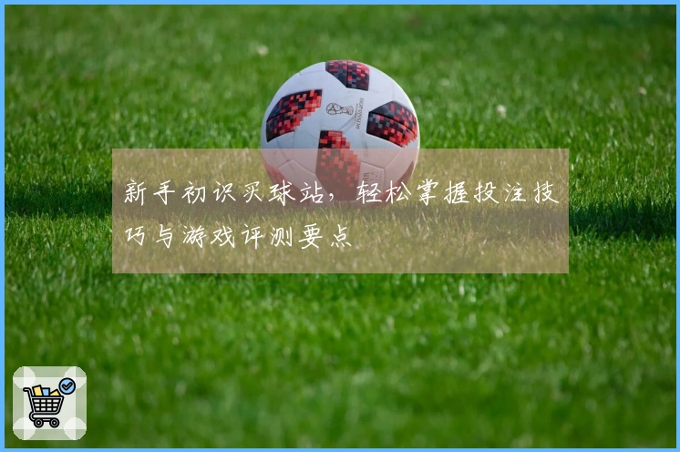 新手初识买球站，轻松掌握投注技巧与游戏评测要点